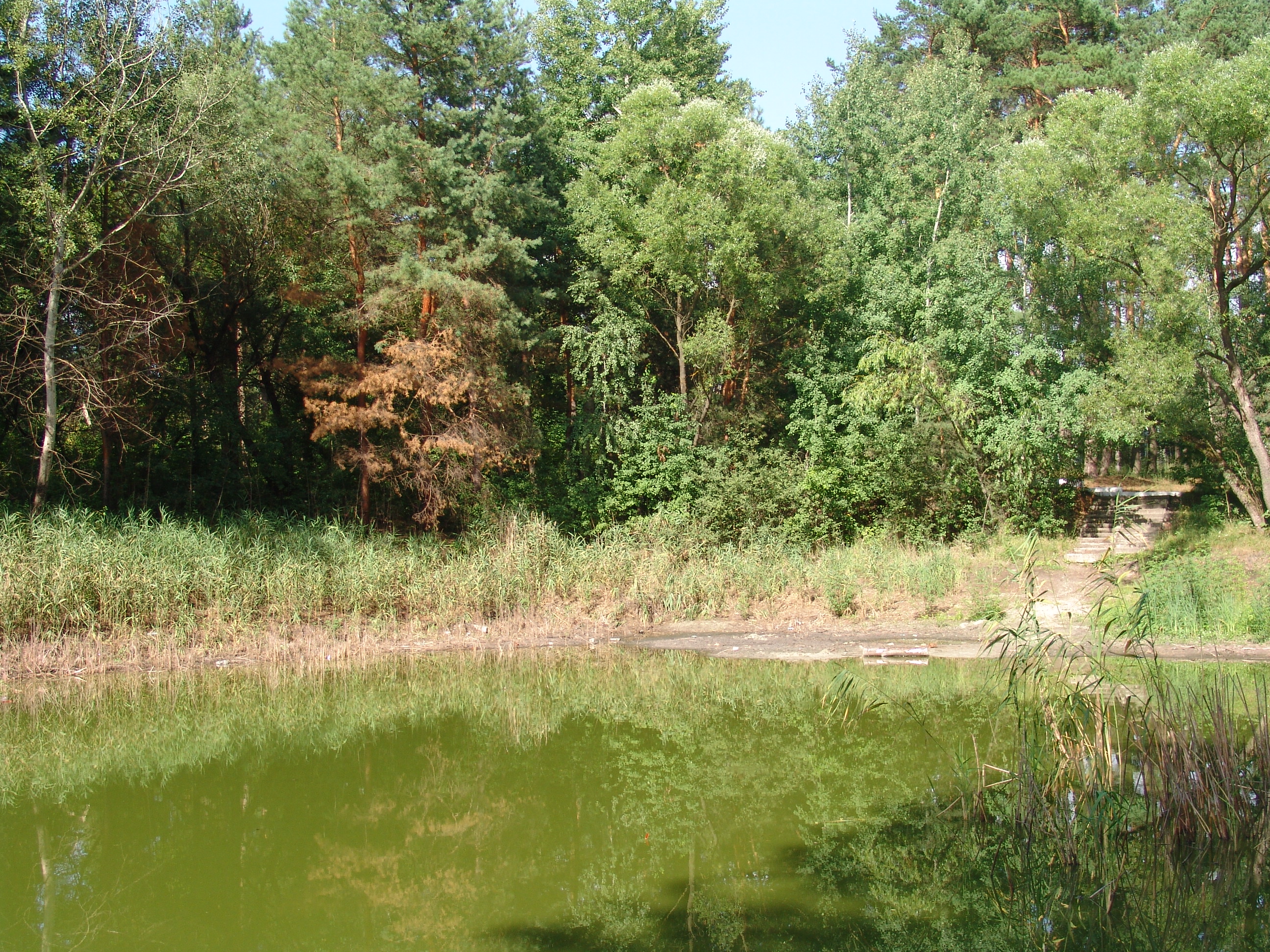 В Чернигове усыхает уникальное озеро – место крещения черниговцев