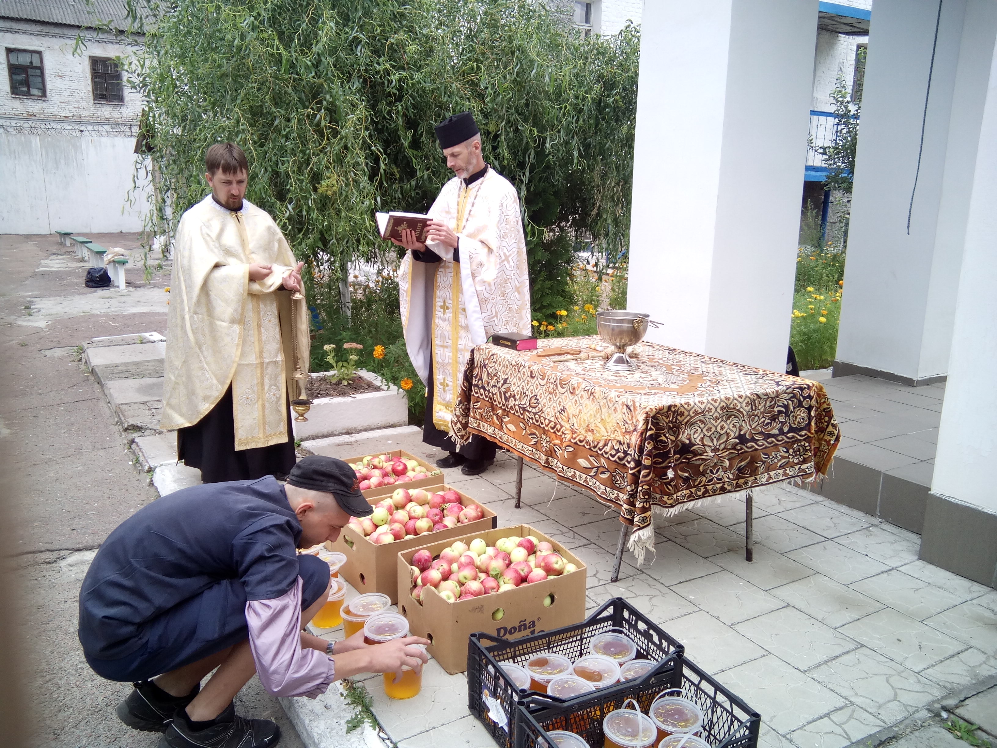 Заключенные посвятили яблоки