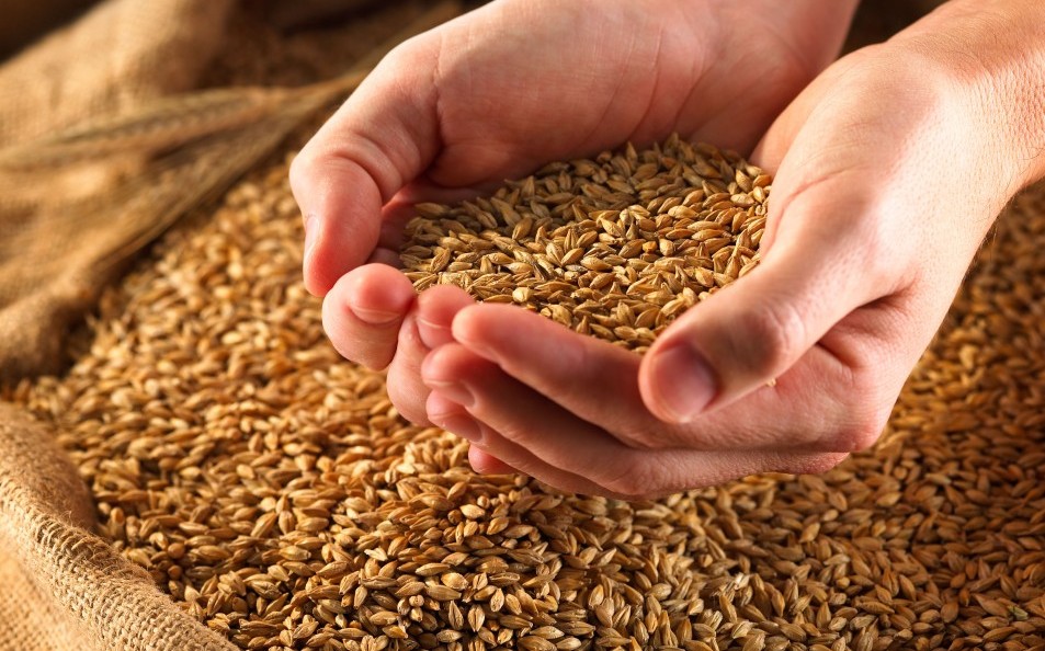 Аграрії намолотили більше двох мільйонів тонн зерна
