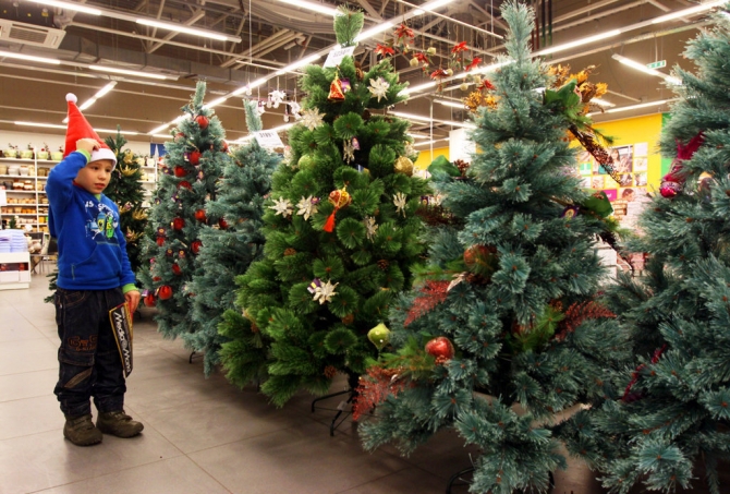 Праздник приближается: за сколько черниговцы смогут купить новогоднюю красавицу