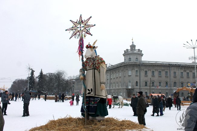 «Коза» гуляла на площади Чернигова. ФОТО