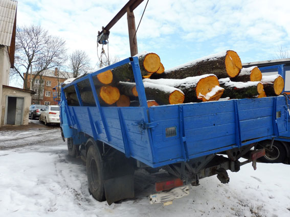 Поліція затримала вантажівку, яка перевозила ліс без документів