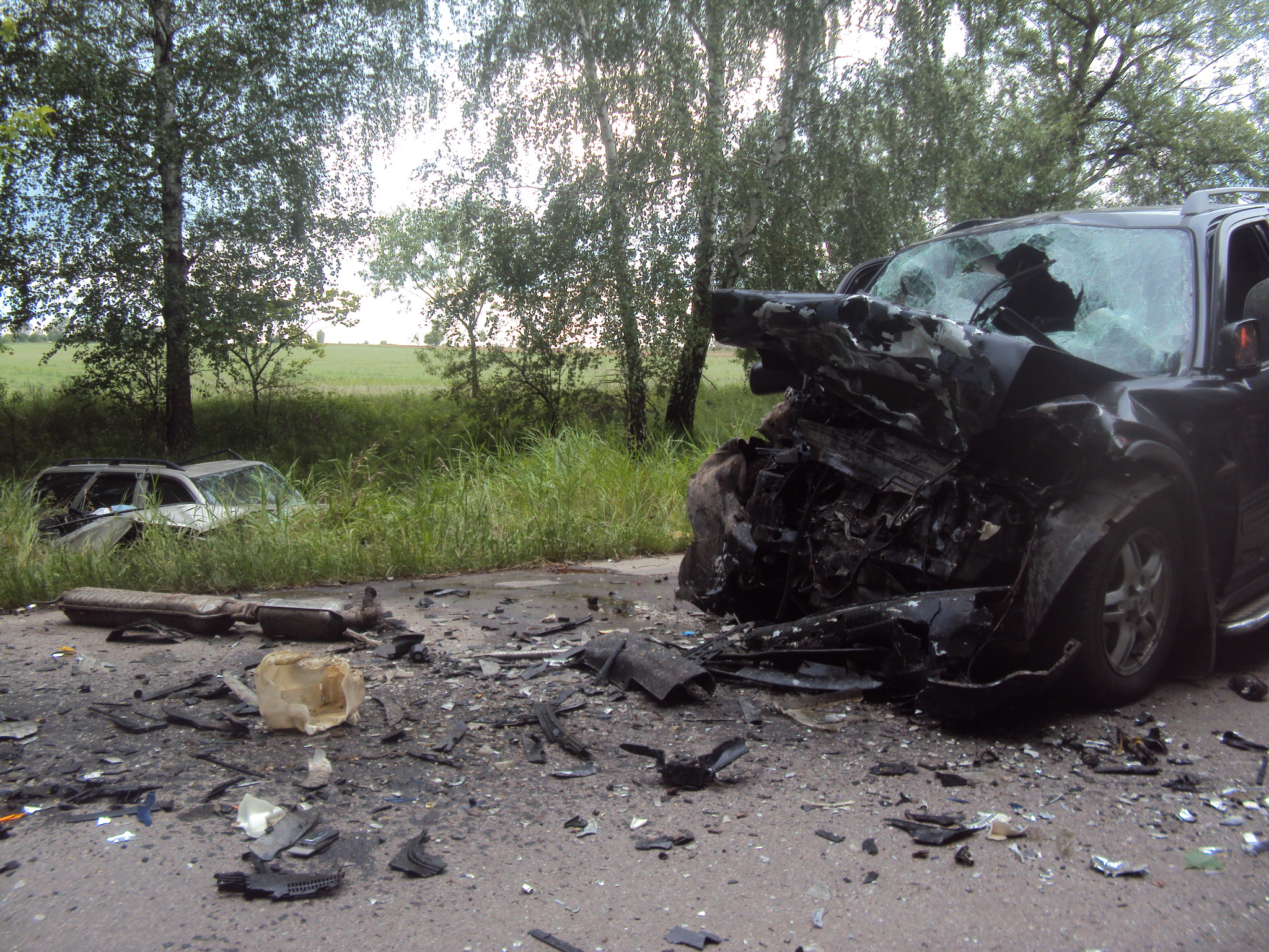 Під Черніговом сталася моторошна ДТП: 5 чоловік загинули