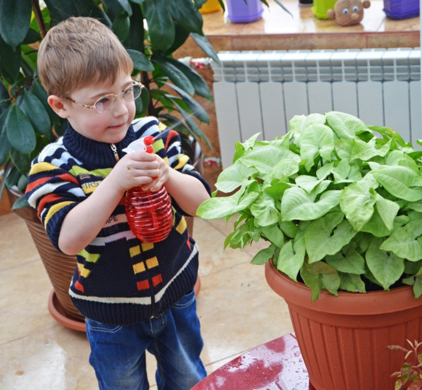 «Гарден-терапія» у «Відродженні»: рослини лікують дітей