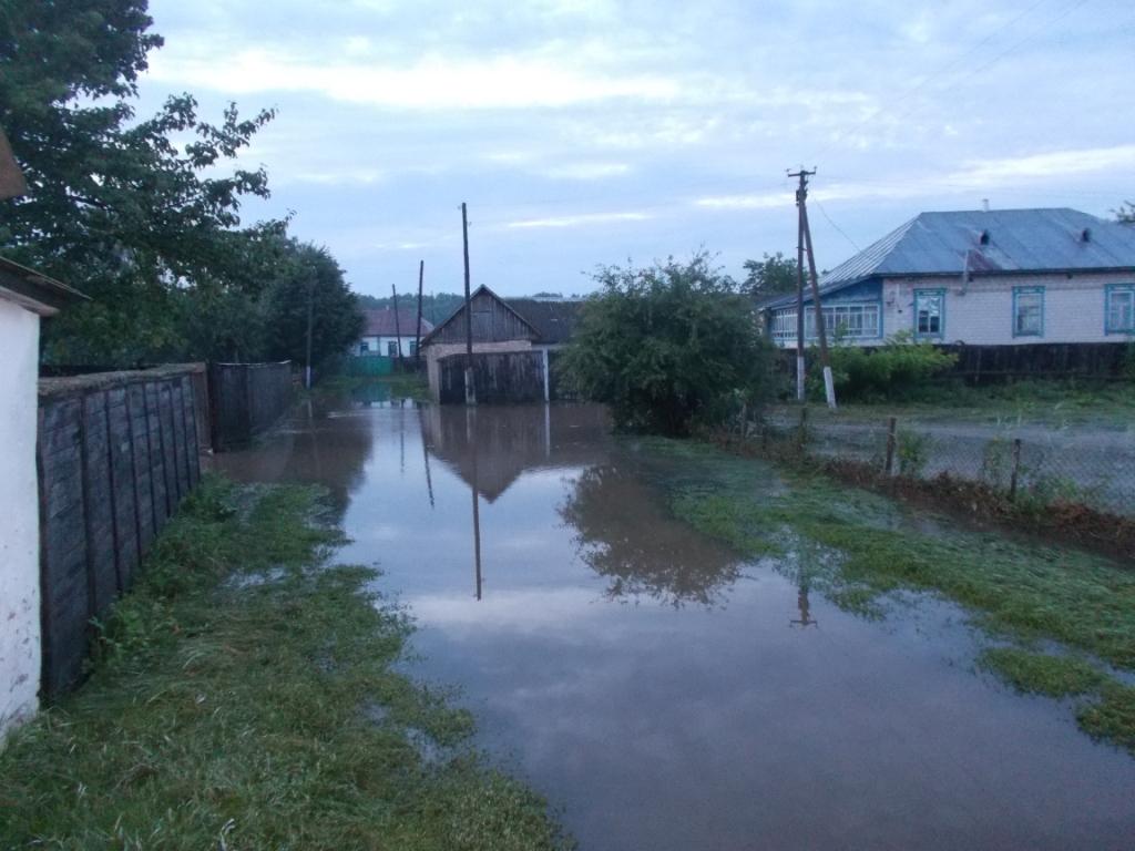 Ликвидация последствий непогоды: проводится откачка воды из погребов и колодцев на Черниговщине