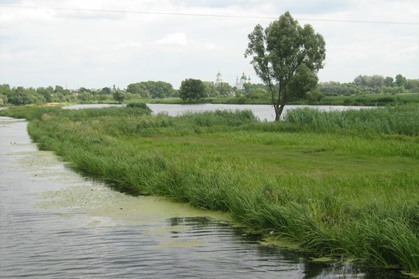 Река Остер начинает восстанавливаться, - экологи