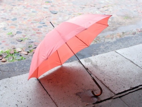 Дівочі «пустощі» - чернігівка парасолькою пошкодила авто сусіда