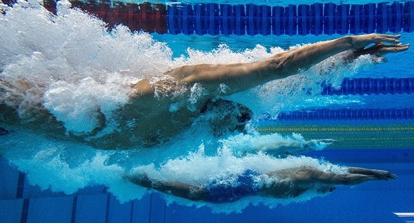 Чемпіонат України з плавання відбудеться в Чернігові