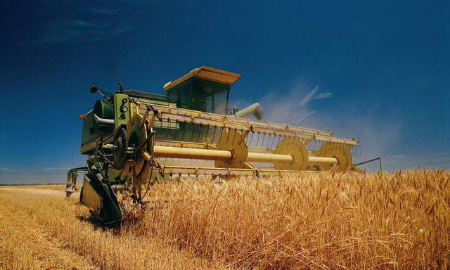 На Черниговщине намолотили первый миллион тонн зерна