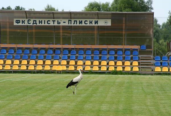 Сиверские футболисты одержали первую победу в любительском Чемпионате Украины
