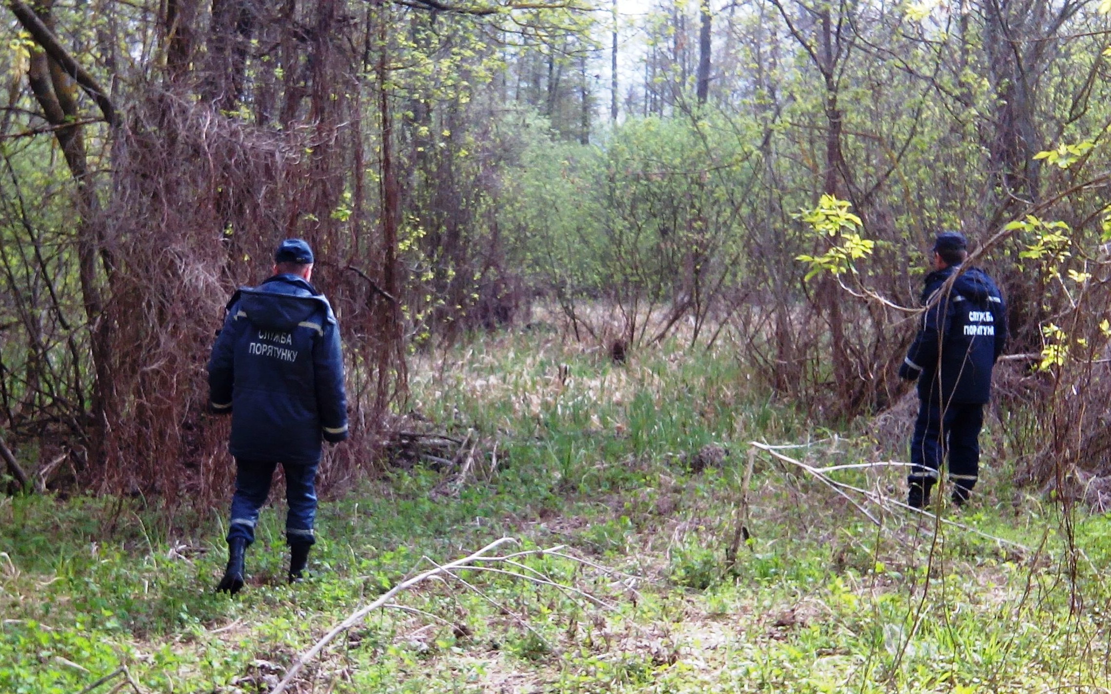 На Чернігівщині розпочали пошуки зниклої жінки 