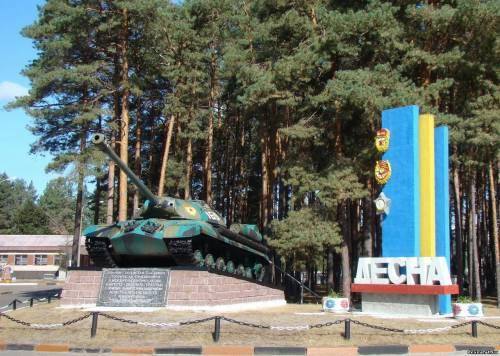 На Чернігівщині представники ОБСЄ перевірили роботу навчального центру Сухопутних військ 169 «Десна»