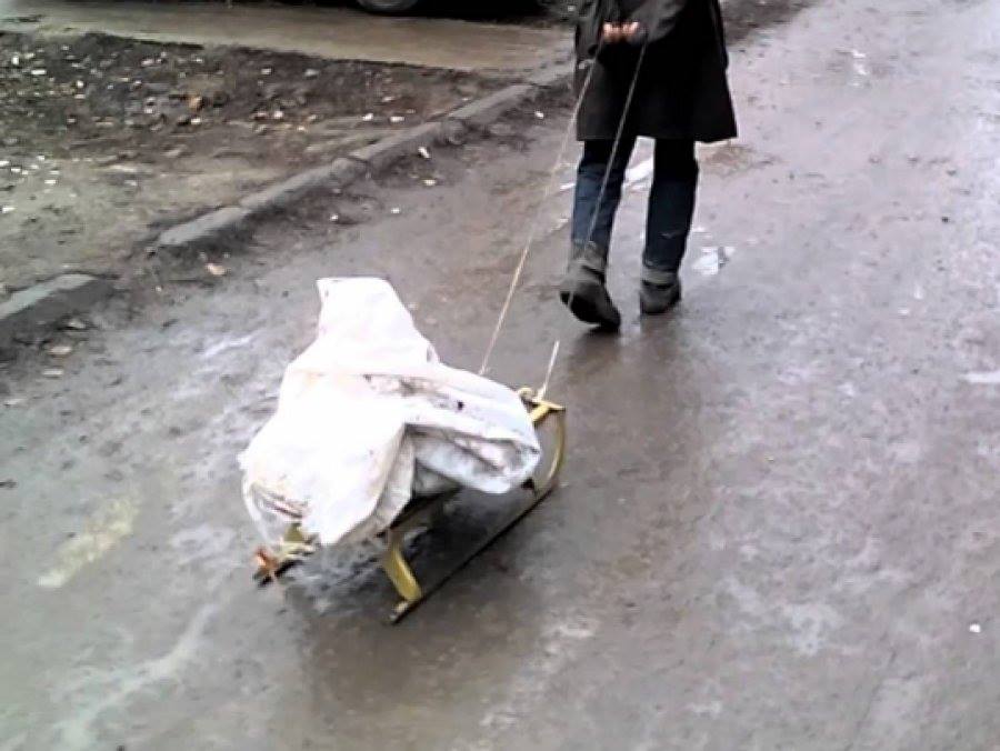Тематичне пограбування в Чернiговi: злодії "поїхали " на санчатах і з ялинкою