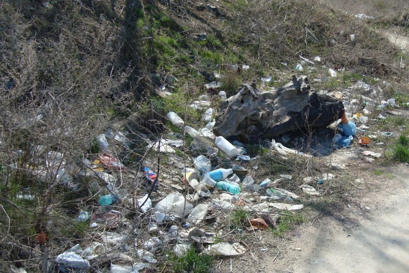 Як позбавитися несанкціонованих сміттєзвалищ на Чернігівщині?