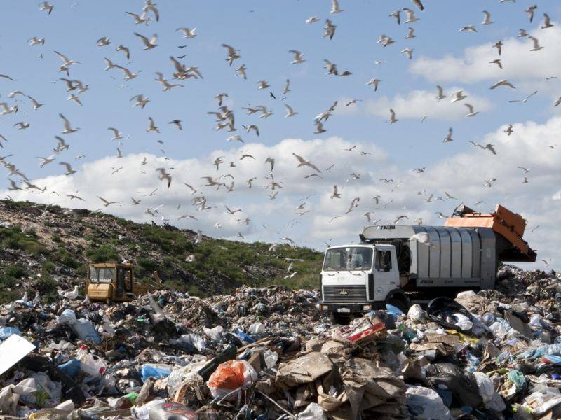 У Чернігові шукають нову ділянку для полігону сміття 