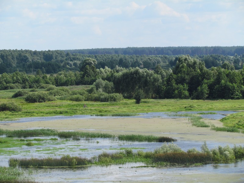 На Черниговщине усиливается мониторинг состояния окружающей среды