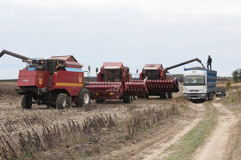 Битва за врожай: на Чернігівщині через конфлікт аграріїв довелося задіяти спецпризначенців