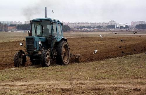 На Чернігівщині прокуратура повернула у державну власність майже 110 гектар землі