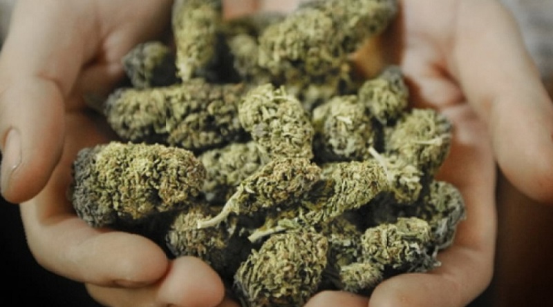 У жителя Ічнянщини вилучили марихуани майже на 8 тисяч гривень