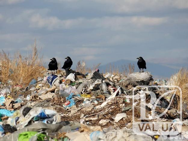Гору сміття зі львівським слідом вивантажили невідомі на Чернігівщині