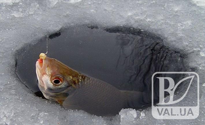 Взимку на Чернігівщині від задухи масово гине риба
