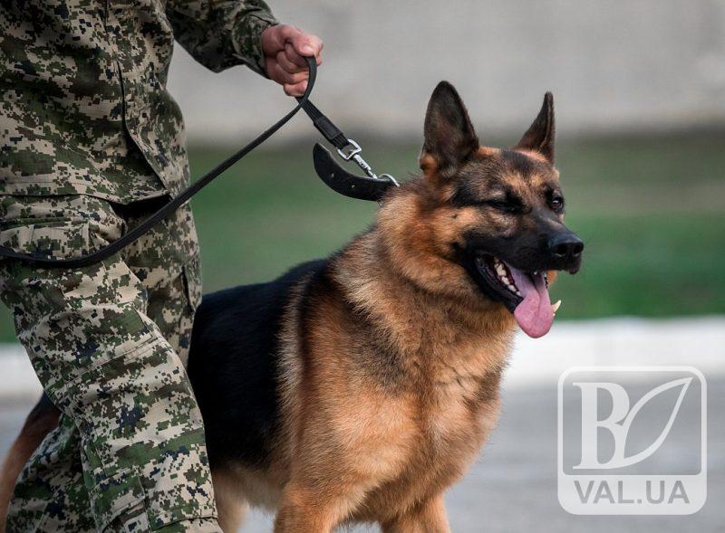 Служебный пес помог черниговским пограничникам обнаружить наркотики