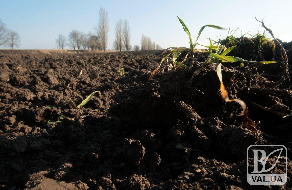 Черниговский облсовет поддержал фермеров относительно запрета продажи земли