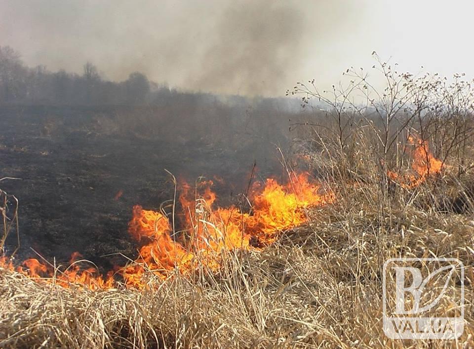 Горіло, палало: на вихідних вогнем було охоплено 263 га Чернігівщини