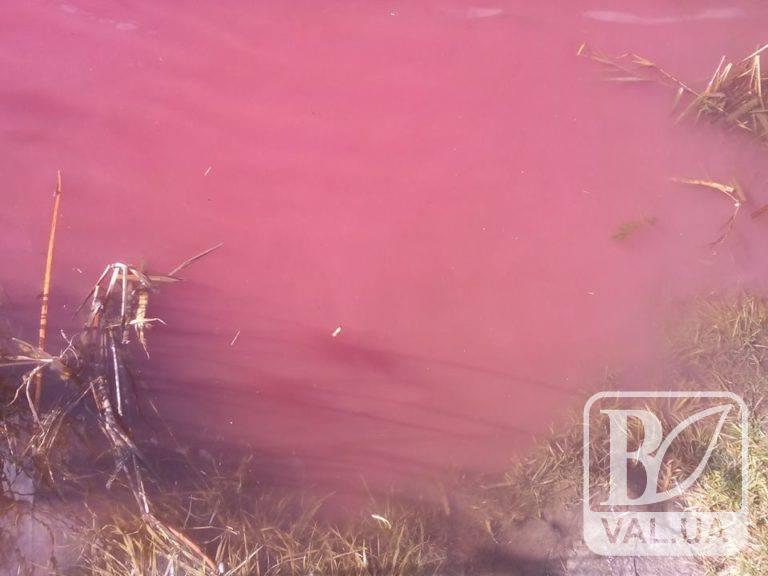 «Стыдливое озеро»: водоем на Черниговщине стал розовой