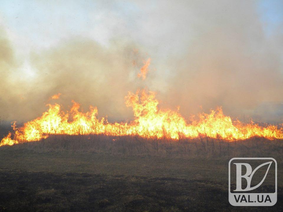  На Черниговщине горело 10 га земли