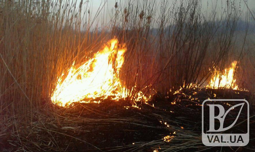 Мінус два: Чернігівщина продовжує страждати від випалювання трави