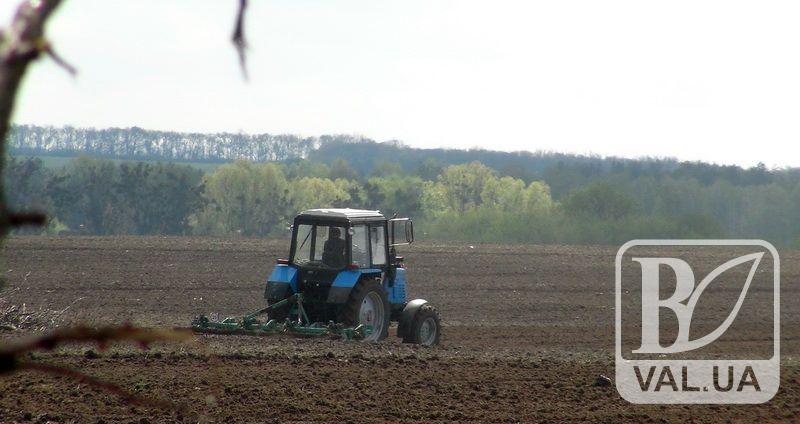 На Чернігівщині аграріям заважає прохолодна погода