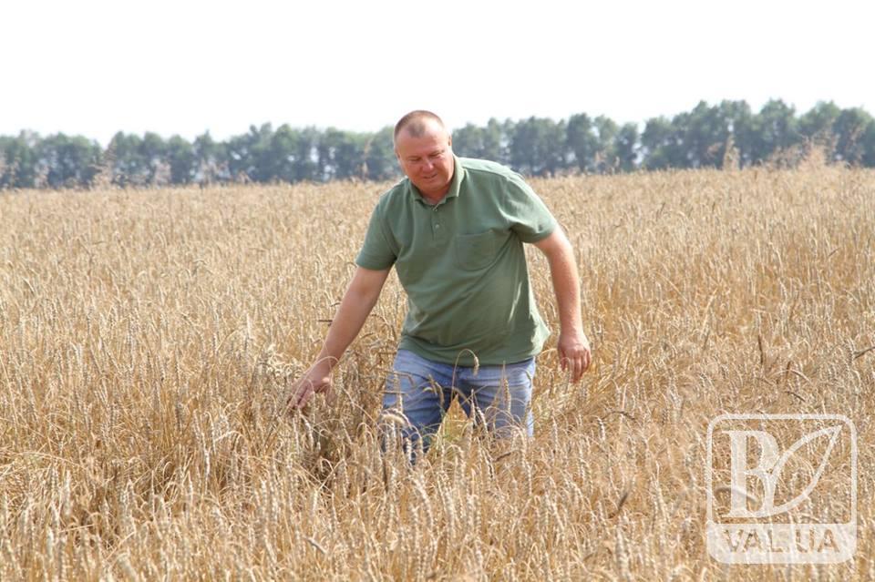 Українські фермери залишилися без допомоги держави