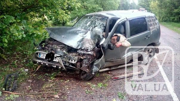 На Черниговщине произошло ужасное ДТП, водитель в реанимации. ФОТО