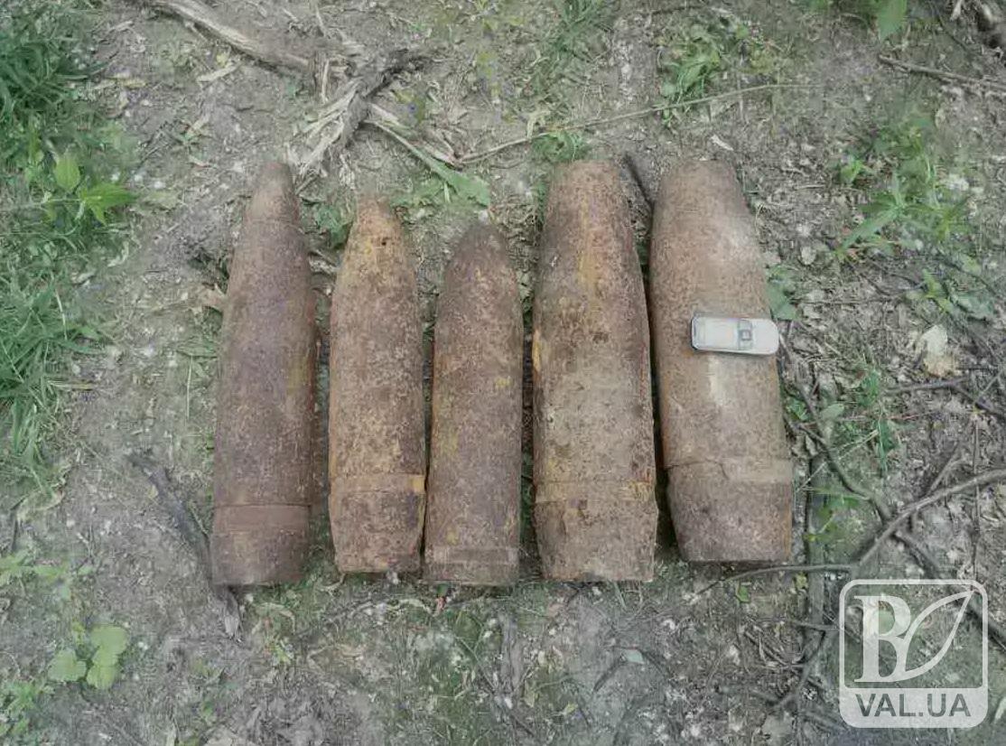 В Нежине взорвались 5 артиллерийских снарядов времен Второй мировой войны