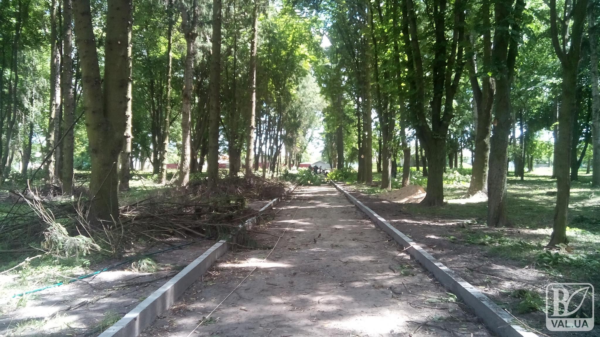 В райцентре Черниговщины благодаря общественному бюджета «окультурен» парк. ФОТО