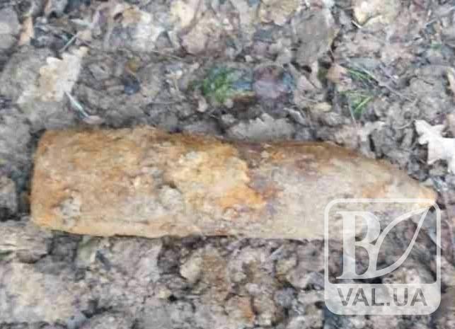  На Чернігівщині чоловік на городі викопав 2 артилерійські снаряди