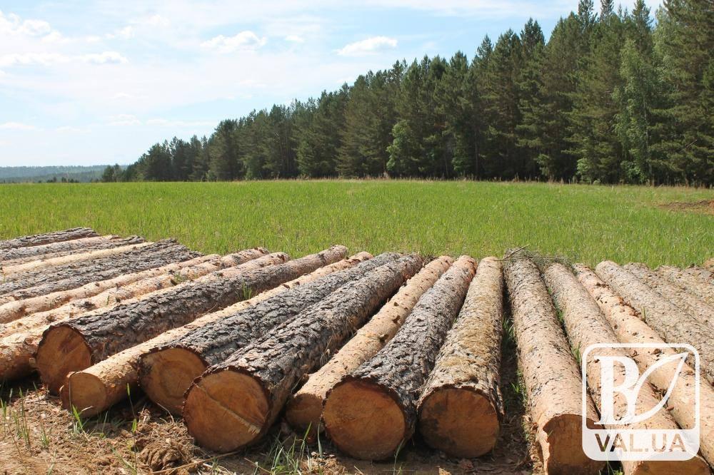 Лісівник-крадій, який виваляв кількасот дерев  у заказнику Чернігівщини, повинен заплатити півтора мільйони
