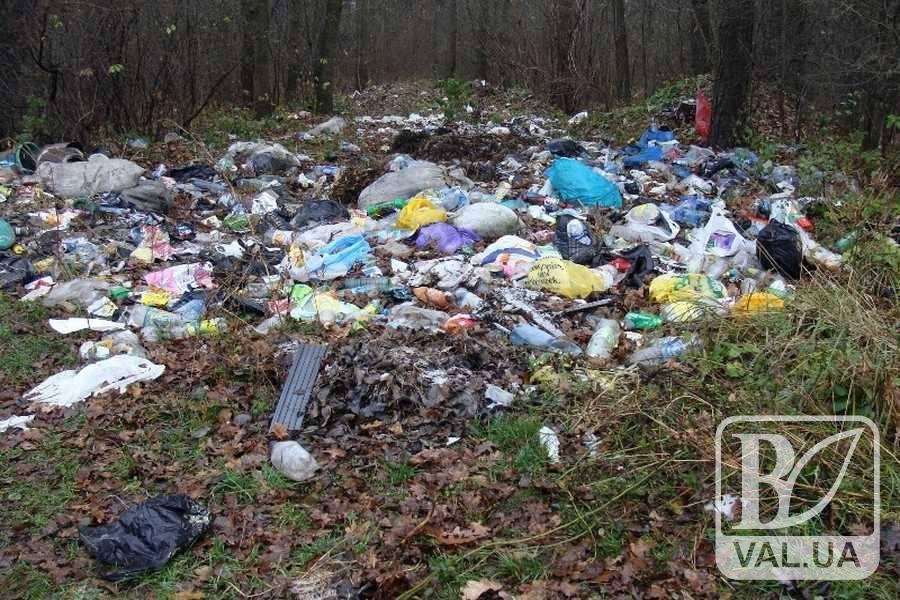 На Чернігівщині відкрито 4 кримінальні провадження за забруднення довкілля