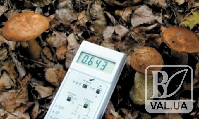 На Черниговщине обнаружили радиационные грибы 