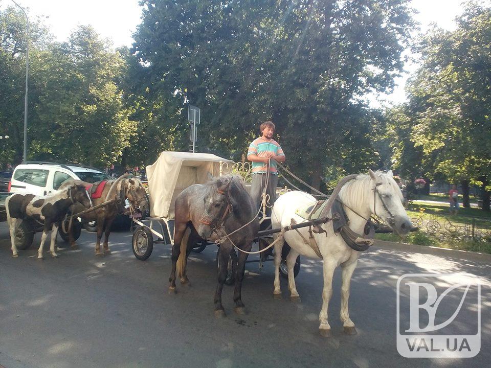 В Чернигове владельцы аттракционов пони устроили «лошадиный» протест. ФОТО + ВИДЕО