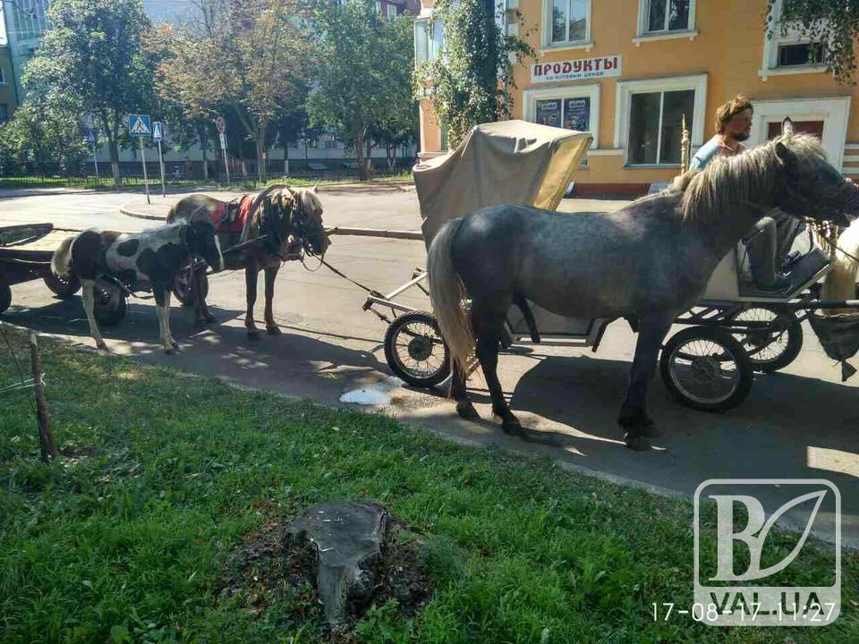 Власника «багатостраждальних» поні оштрафували під час протесту під міськрадою