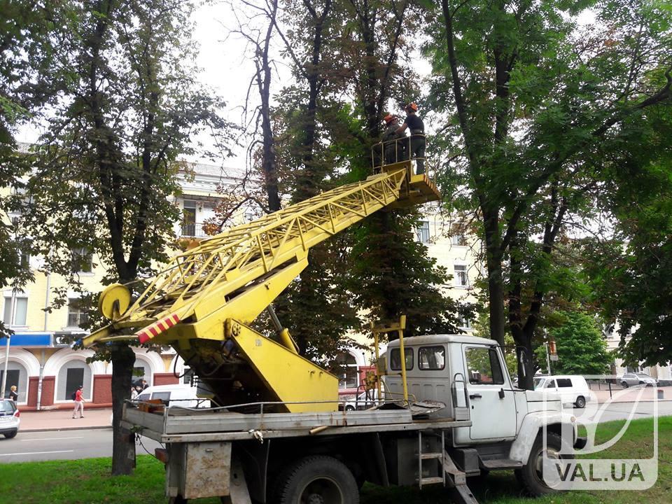 Комунальники «підмарафетили» дерева та кущі в історичному центрі Чернігова