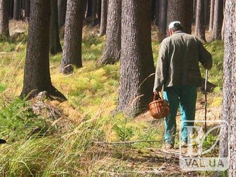 Вышел из леса за махоркой: на Черниговщине нашли пропавшего 4 дня назад грибника