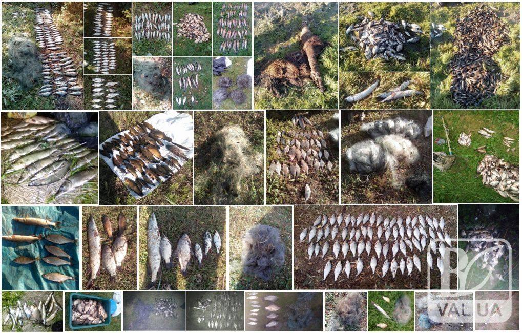 Почти на 90 тысяч ущерба нанесли браконьеры рыбному хозяйству в течение сентября 2017 года