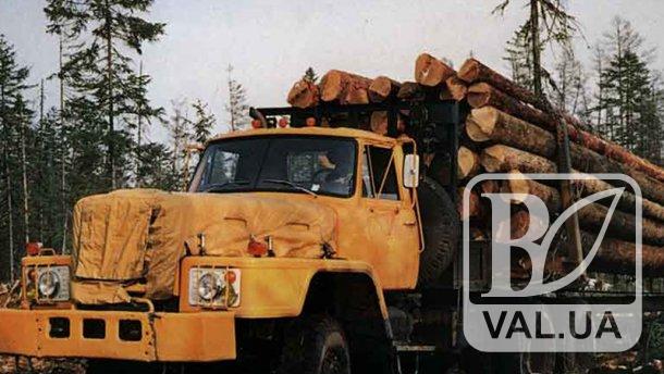 Под Черниговом полиция задержала грузовик с незаконным лесом