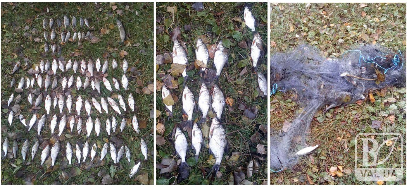 На Чернігівщині чоловік забороненим методом виловив 11 кг риби