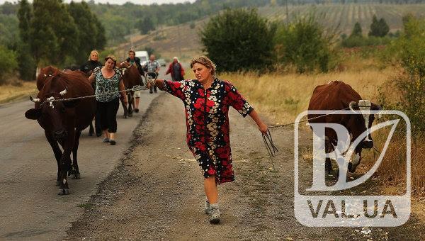На Черниговщине сельские женщины самые старшие в Украине