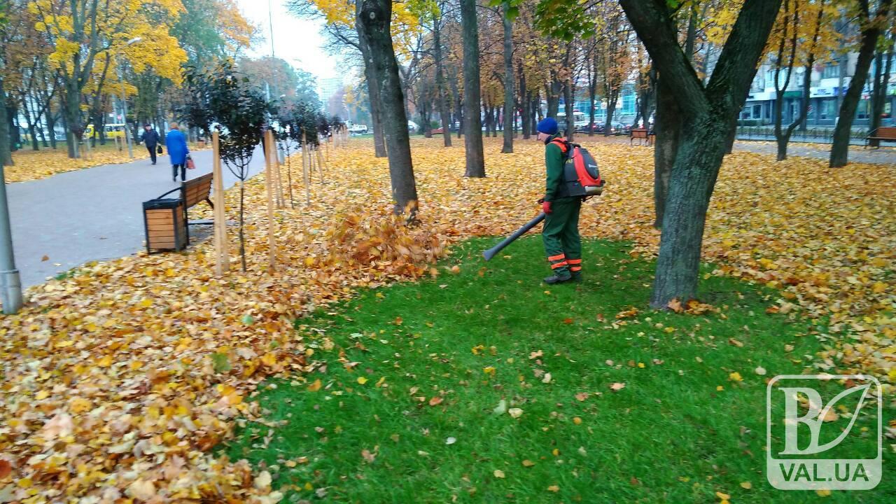 Чернігівські комунальники опановують іноваційні методи прибирання листя. ФОТО