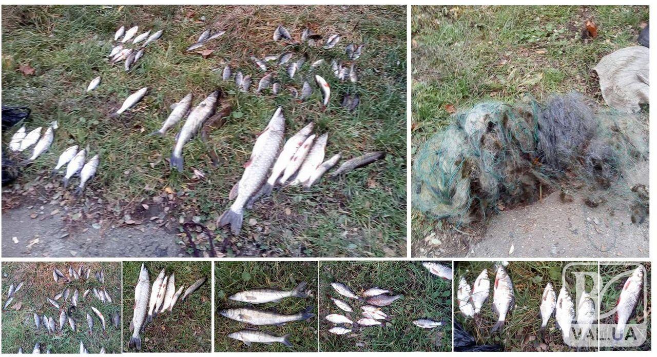 На Чернігівщині  браконьєри "наловили" риби на 38 тисяч гривень 